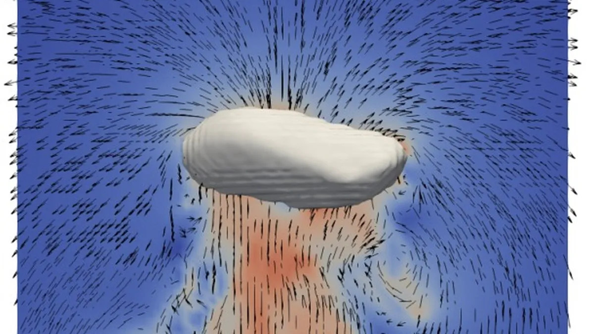 Bubble dynamics and tomography of bubbling beds